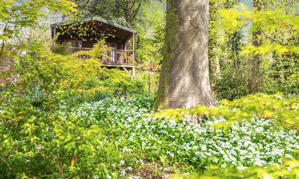 Milton Abbas Ski Chalet | 1 Bed in Milton Abbas (oc-w32019)