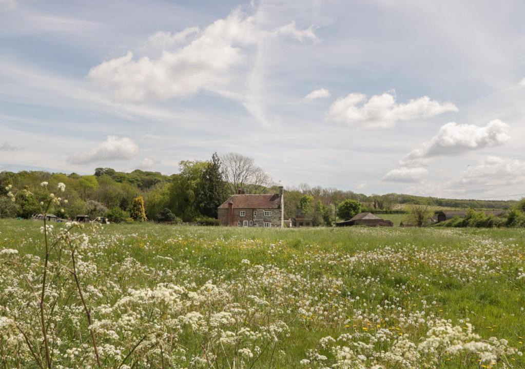 Bere Regis House | 2 Court Farm