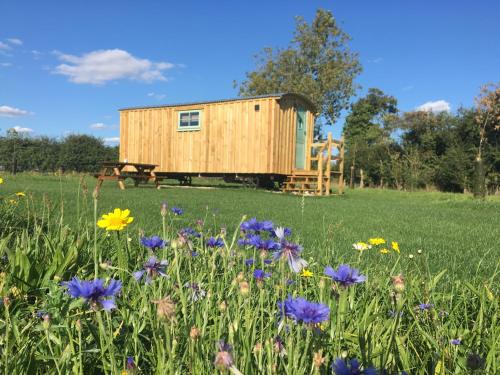 Bedfield House | 3 - Cosmos