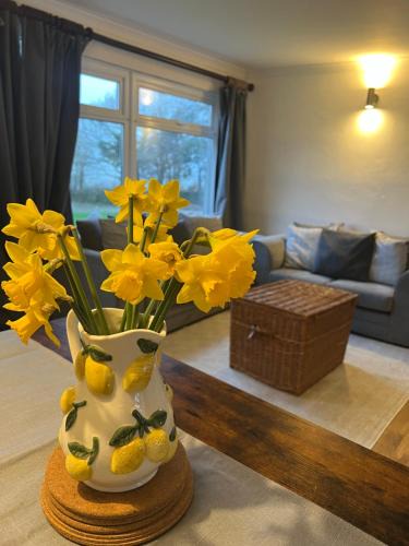 Dartmouth Apartment | 30 Norton Park