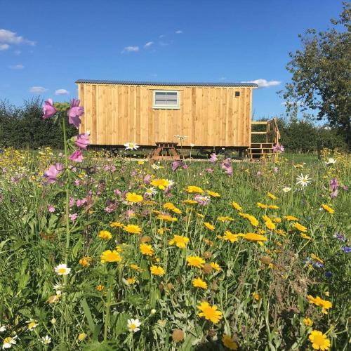 Bedfield House | 6 - Borage