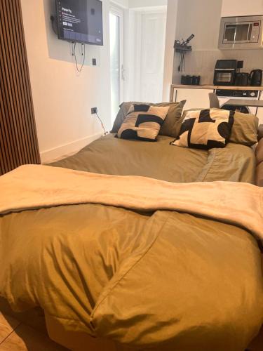 Ashford Apartment | Ace Space