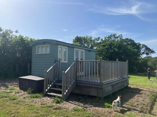 Beaworthy Other | Arcadia Shepherds Hut