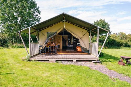 Honiton House | Beech
