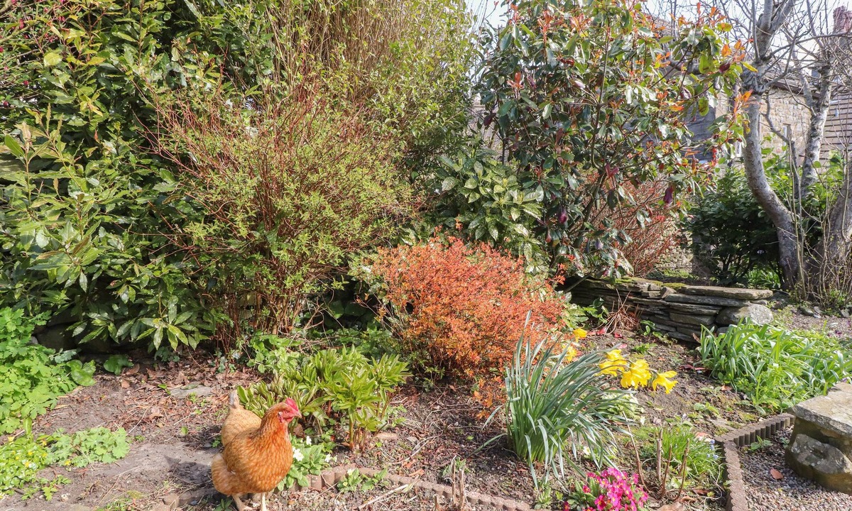 High Bentham Cottage | Beehive Cottage