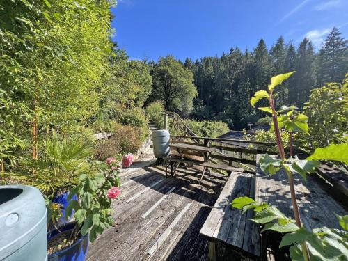 Bodmin Ski Chalet | Bluebell cabin