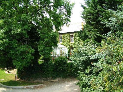 Brazzacott Bed & Breakfast | Bradridge Farm