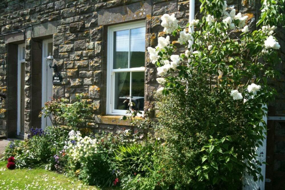 Cornhill on Tweed House | Briar Cottage
