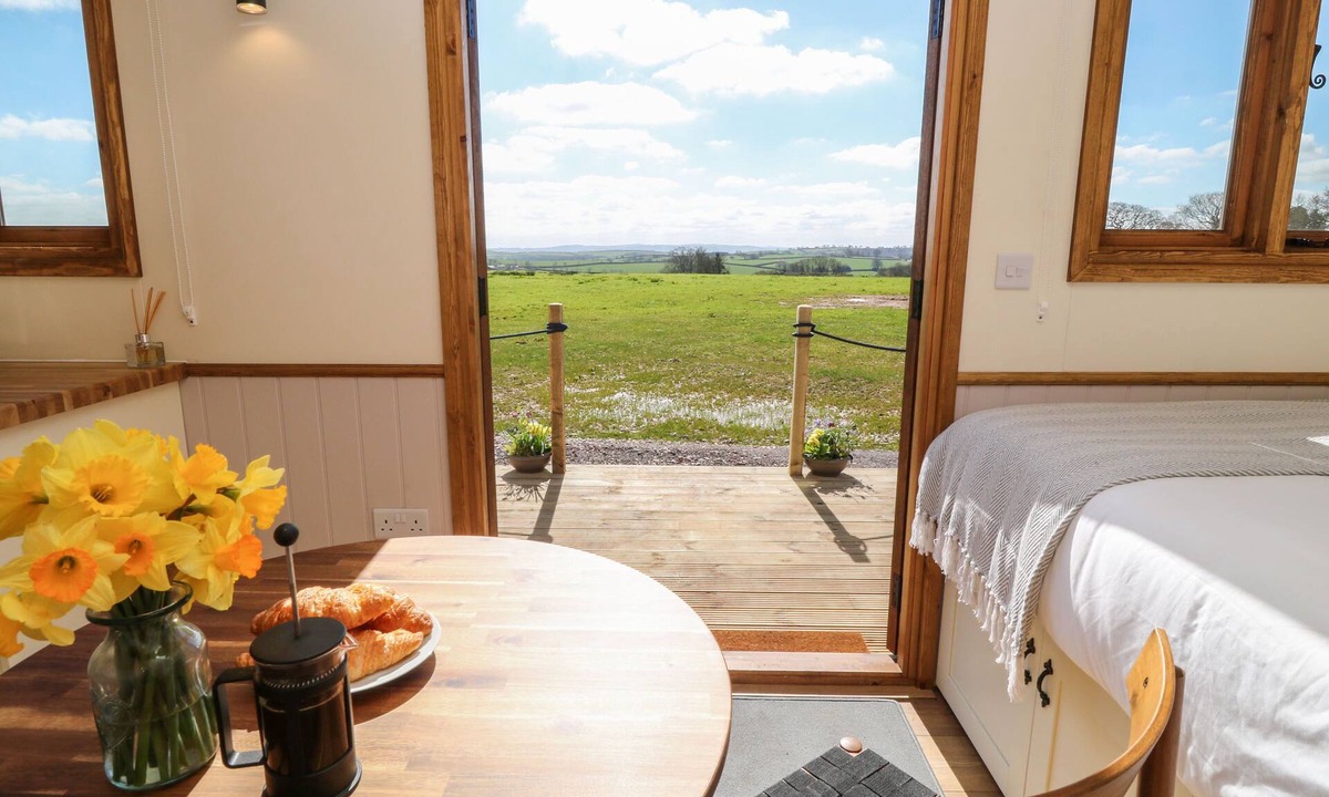 Crediton Cottage | Buzzards