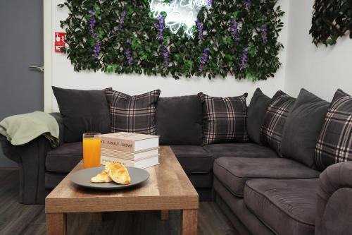 Plasnewydd Apartment | CentralHub5 1BD Studio- Contractor & Travelers