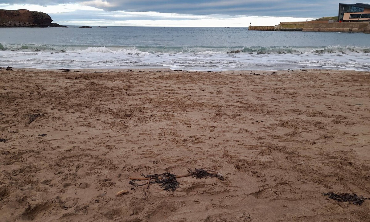 Eyemouth Apartment | Charming Eyemouth 1-Bed Apt, Sleeps 2 near Beach