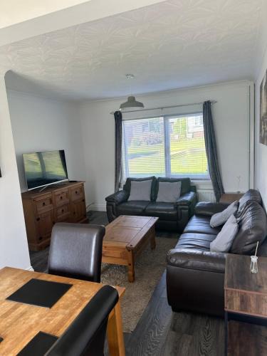 Milford Haven House | Cherry Tree