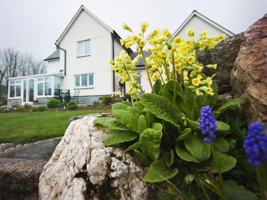 Fivelanes Bed & Breakfast | Copper Meadow