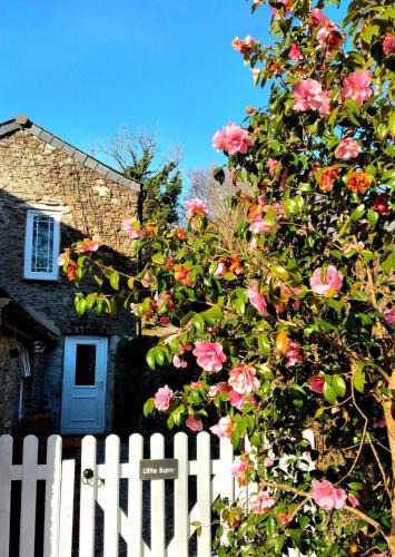 Saltash House | Cute Cornish Cottage