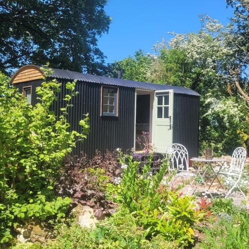 Mold House | Cwt Cen y Coed