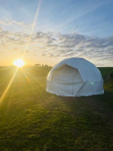 Kingsbridge Other | Ebb Dome at Estuary Escapes