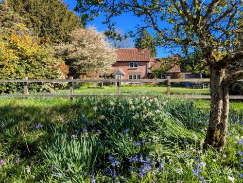 Sopley House | Evergreen