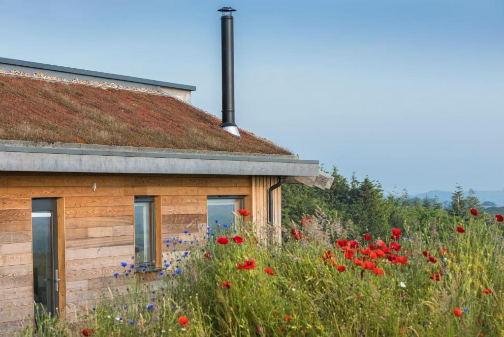 Melcombe Bingham House | Fern