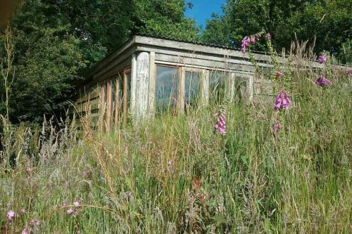 Wrangaton House | FoxesDen, Unique Eco Cabin, Dartmoor views