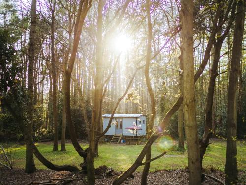 Melton Constable House | Goosewing Hut-Qu7072