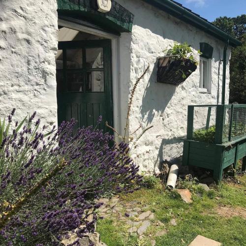 Abergele House | Hapus Yurt - Two Beautiful Yurts and Barn Cottage