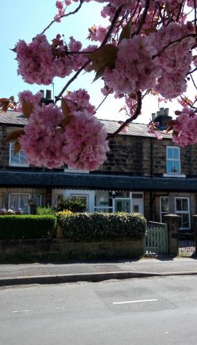 Harrogate House | Harrogate 100