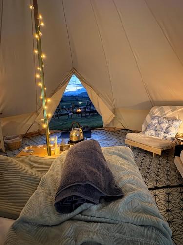 Abergavenny Other | Hedgerow hideaway