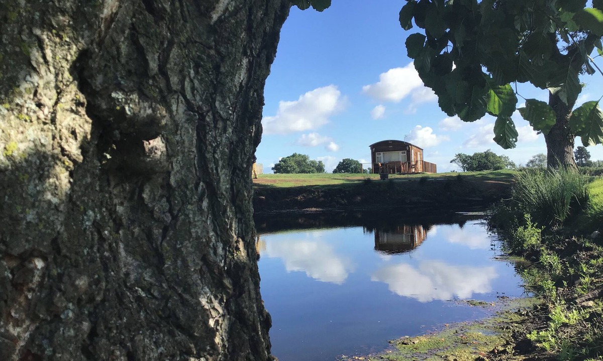 Llanvair Kilgeddin Cottage | Hollie