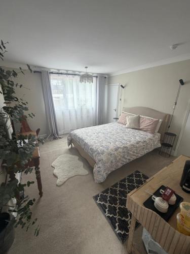 Barton-upon-Humber Hotel | Imaginarium rooms