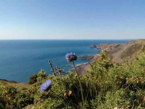 Saint Gennys House | Kiberick Cottage at Crackington Haven, near Bude and Boscastle, Cornwall
