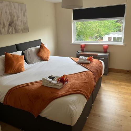 Coventry House | Leo 1