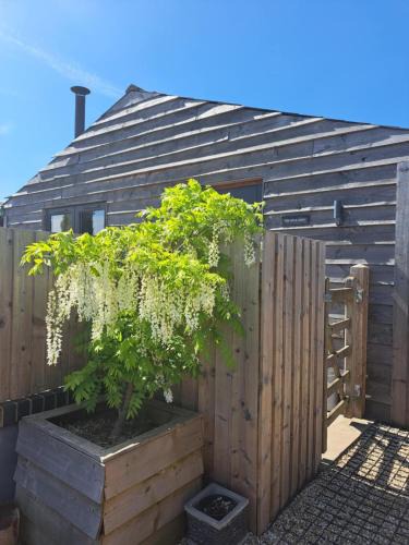 Winsham House | Milk Shed