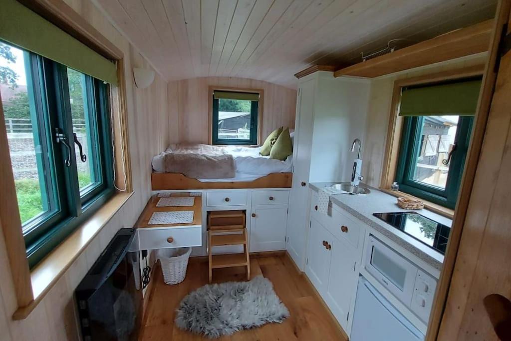 Pulborough Other | Penelope