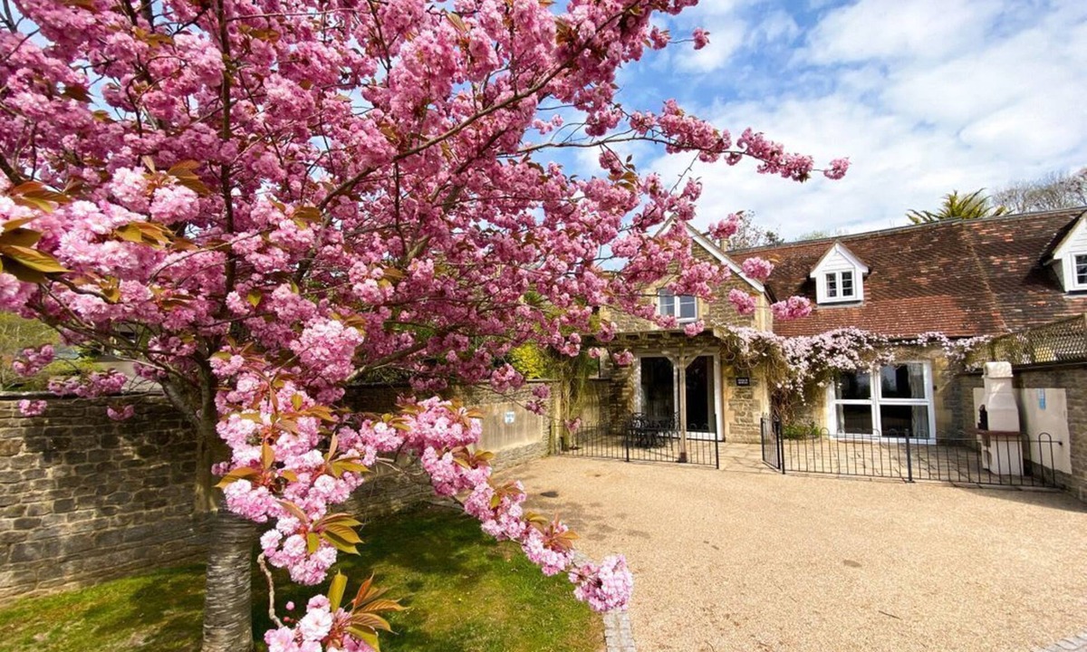 Buckhorn Weston House | Rectory Coach House, Buckhorn Weston