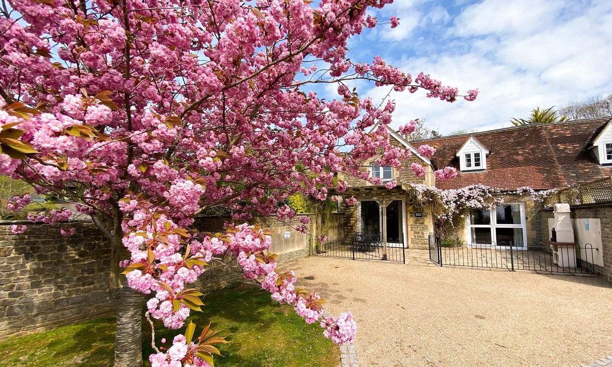 Buckhorn Weston Cottage | RECTORY COACH HOUSE, romantic, with a garden in Buckhorn Weston