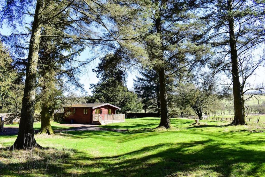 Wigton Apartment | Secluded Pine Lodge 2