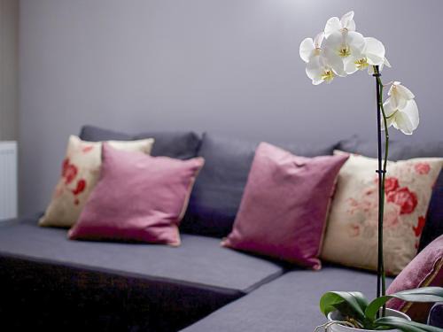Inverurie House | Seton - Uk32834