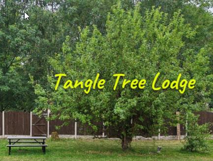Burton on Trent House | Tangle Tree Lodge - Luxury, Parking, Spacious