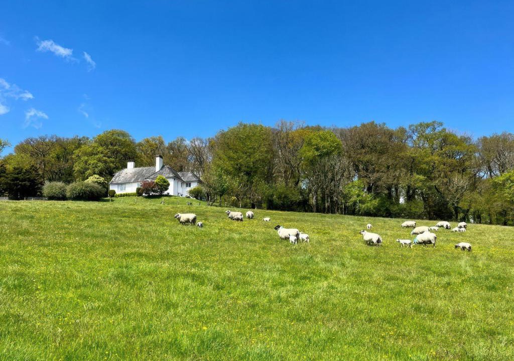 Okehampton House | The White House