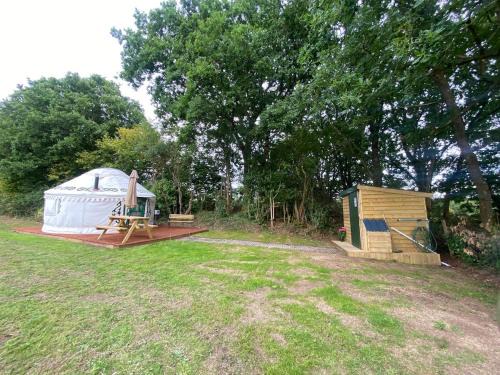 Llandysul Other | The Yurt at Five Oaks Campsite