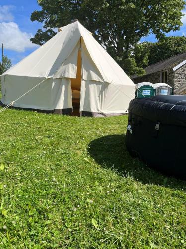 Llanilar Other | Tipi - Pengarreg
