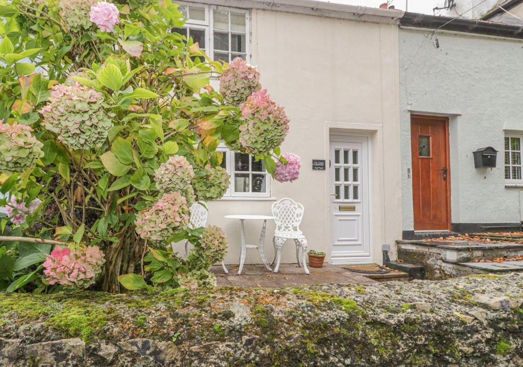 Beaumaris House | Ty Coed