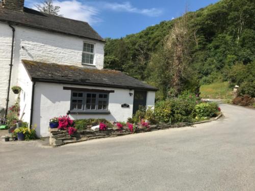 Cwrt House | Ty Ffarm, Gogarth