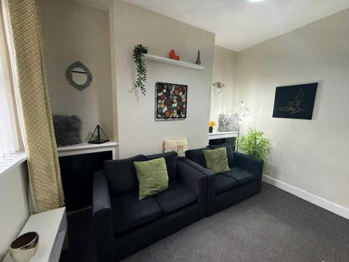 Roath House | Victorian bay