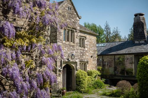 Saint Breward House | Wild Hamatethy