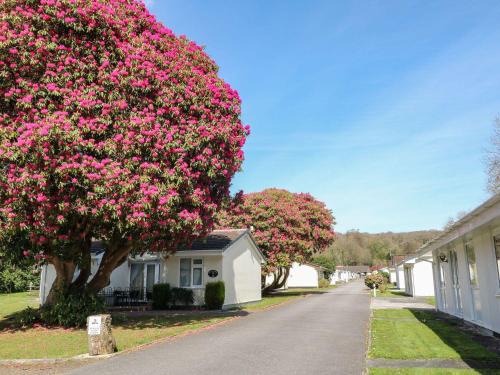 Liskeard House | Willow Lodge
