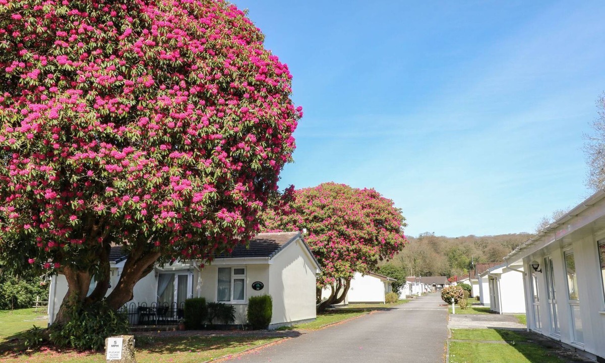 Liskeard Cottage | Willow Lodge