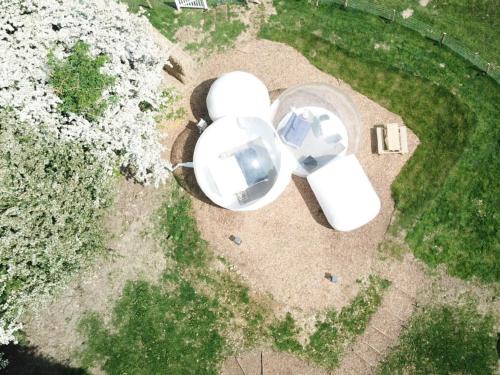 Maidstone Other | Wooded Bubble