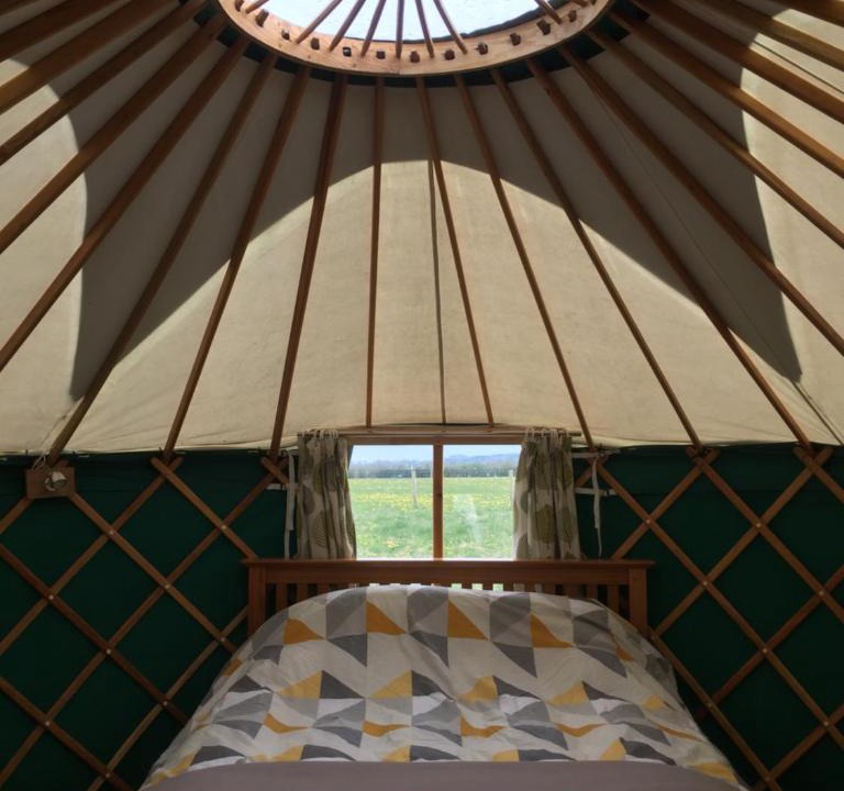 Redbrook Other | Yurt Ash tree