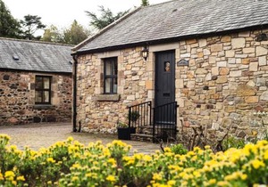 Blueberry Cottage